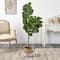 4.5ft. Fiddle Leaf Fig Artificial Tree with Boho Chic Handmade Cotton & Jute White Woven Planter